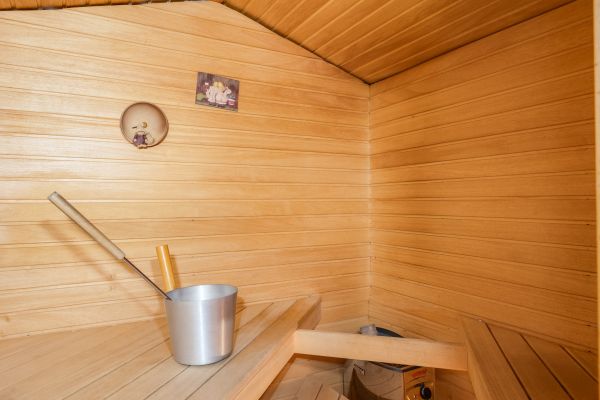 sauna60CB2134-84FB-6C4A-7ADD-CAF0298F2FA6.jpg